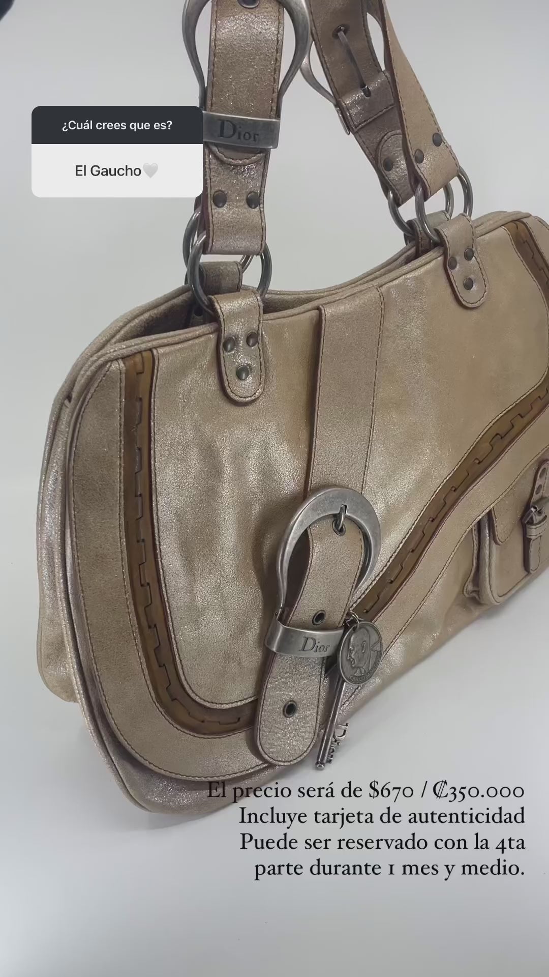 2006 Christian Dior Gaucho bag